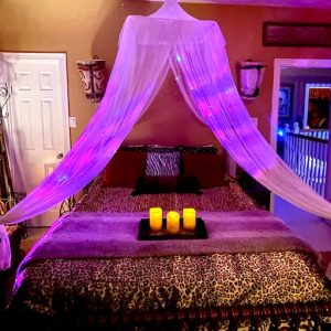 Safari African Room